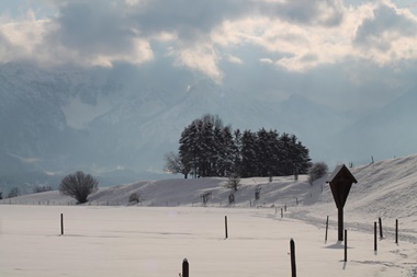 ausflugsrestaurant.ch